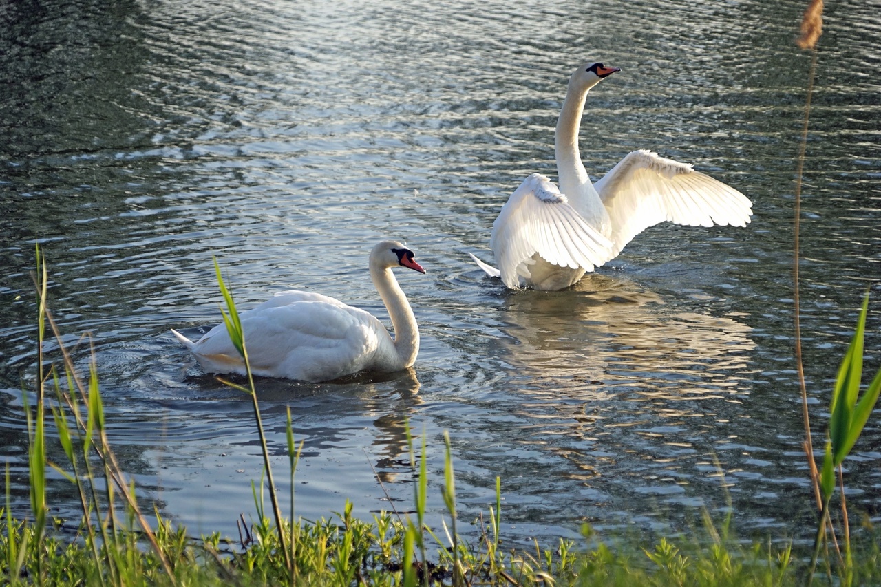 Bild 9 von 12: Eindrücke aus Derben