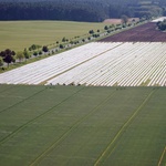 Bild 2 von 11: Eindrücke aus Hohenseeden