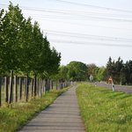 Bild 7 von 0