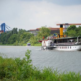 Bild 6 von 17: Eindrücke aus Parey