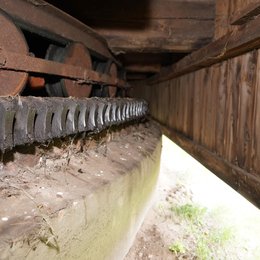 Bild 3 von 17: Eindrücke aus Parey