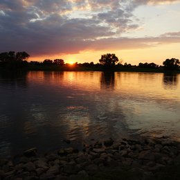 Bild 2 von 17: Eindrücke aus Parey