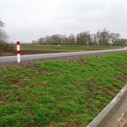 Bild 15 von 17: Eindrücke aus Parey