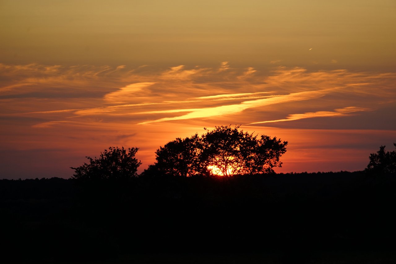 
                             Bild 5 von 0
