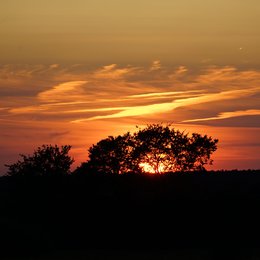 Bild 1 von 17: Eindrücke aus Parey