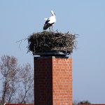 Bild 13 von 0